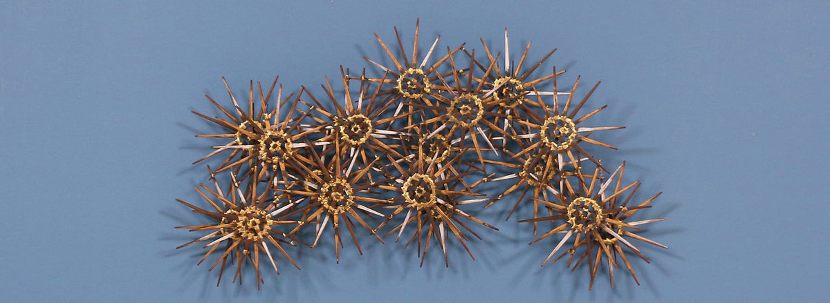 Marc Weinstein Starburst Wall Sculpture