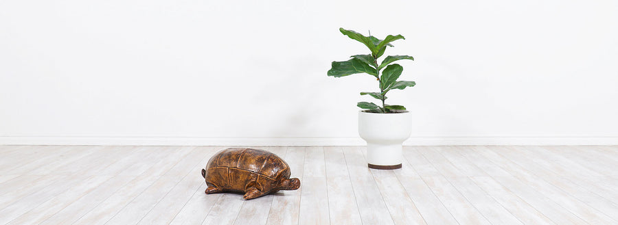Dimitri Omersa Leather Turtle for Abercrombie and Fitch
