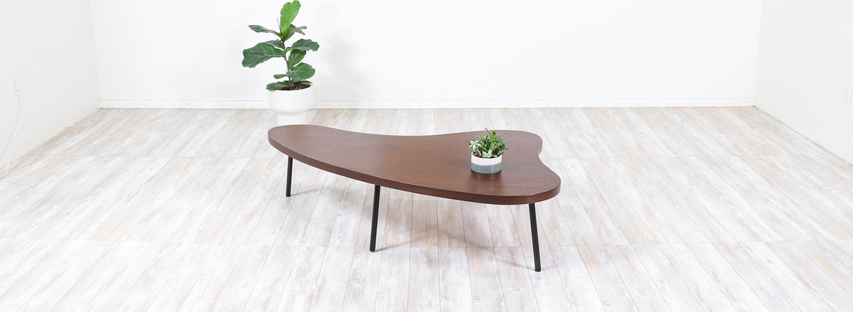 Vista of California Free Form Coffee Table 