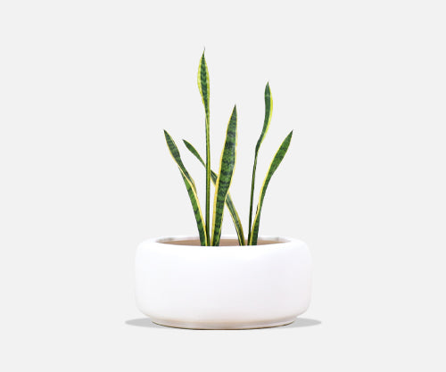 Large John Follis "Tire" White Glaze Planter for Architectural Pottery 