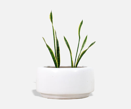Vintage Large John Follis "Tire" White Glaze Planter for Architectural Pottery