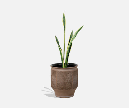Robert Maxwell "Starburst" Ceramic Stoneware Planter for Earthgender