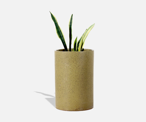 California Modern Pro Artisan Olive Green Stoneware Planter by David Cressey