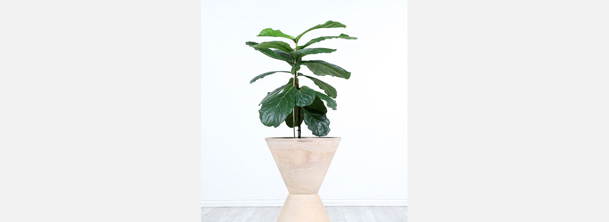 Large Double Cone Planter by LaGardo Tackett for Architectural Pottery 