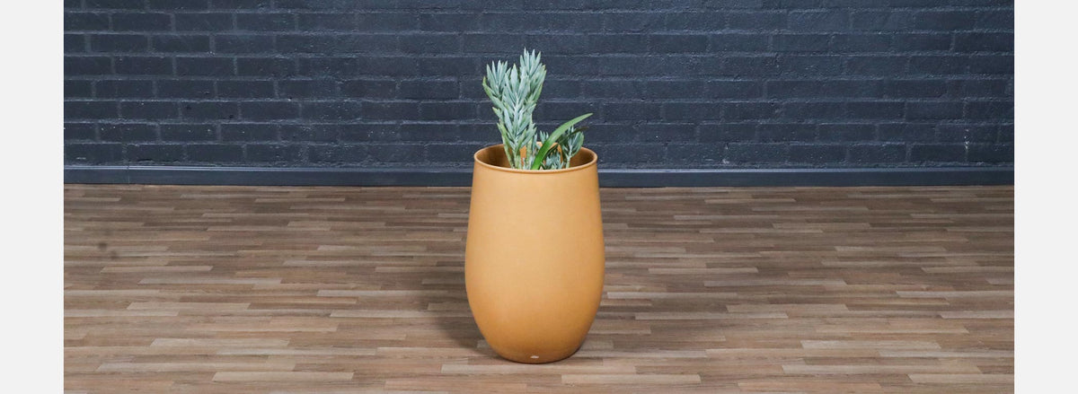 Californian Pro Artisan Mustard Planter by David Cressey & Raul Coronel