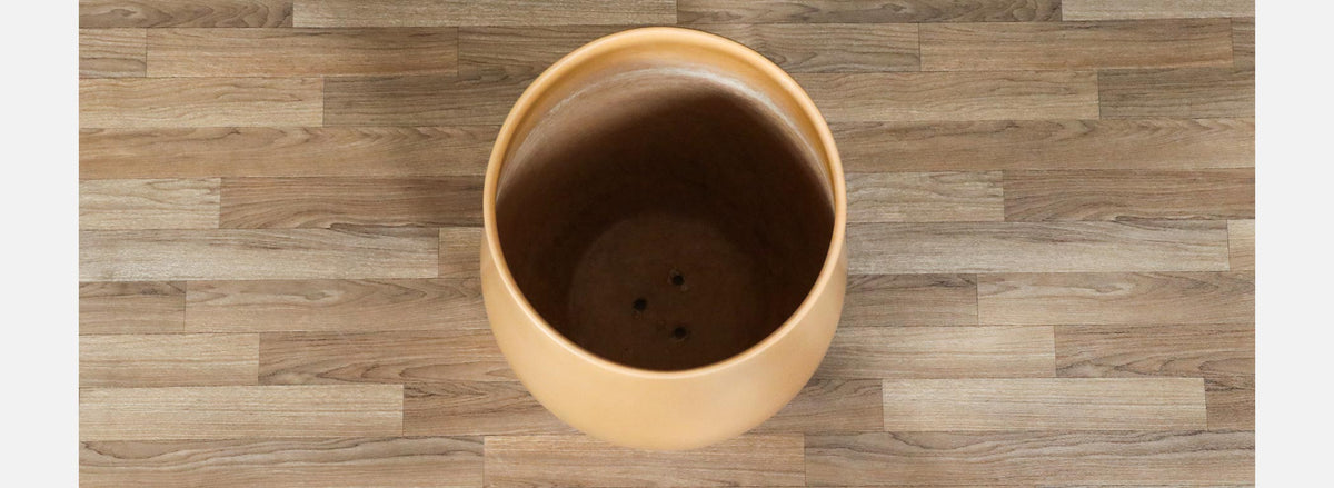Californian Pro Artisan Mustard Planter by David Cressey & Raul Coronel