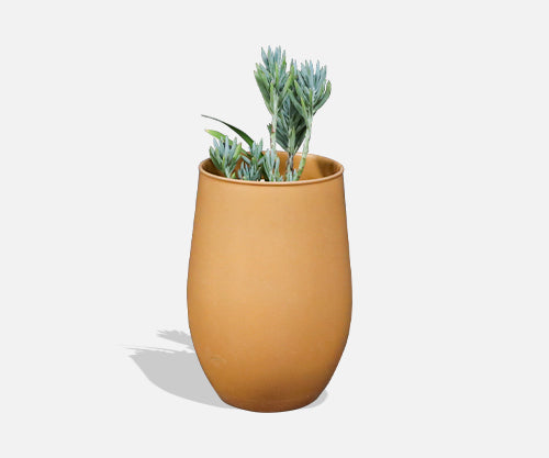 Architectural Pottery