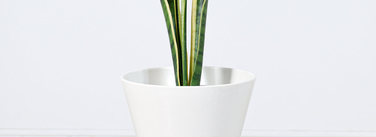 Mid-Century Modern Architectural Double Cone Planter by Bauer