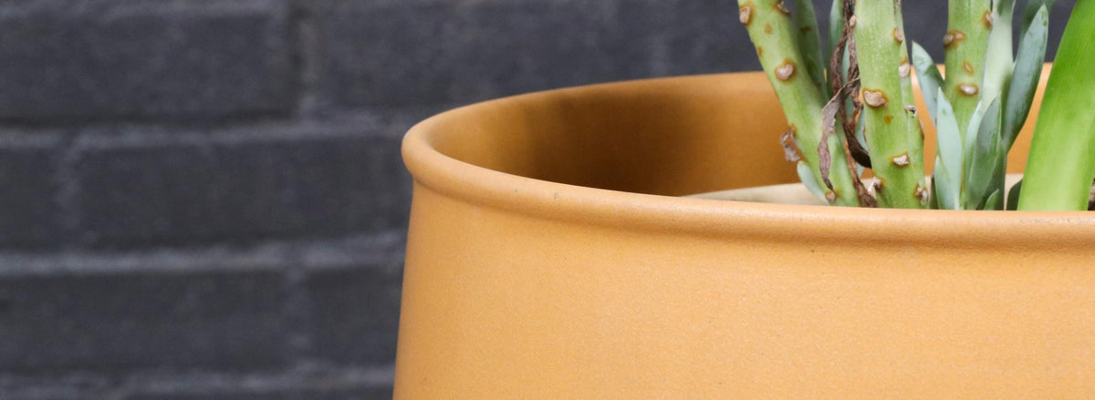 Californian Pro Artisan Mustard Planter by David Cressey & Raul Coronel