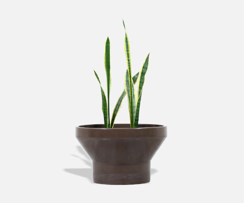 Paul McCobb M-3 Brown Ceramic Glaze for Architectural Pottery