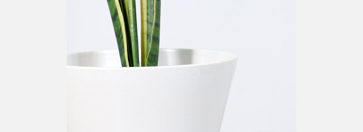 Mid-Century Modern Architectural Double Cone Planter by Bauer