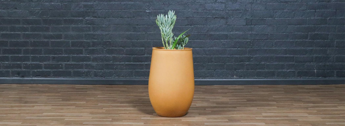 Californian Pro Artisan Mustard Planter by David Cressey & Raul Coronel