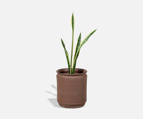 California Modern Pro Artisan Stoneware Planter by David Cressey