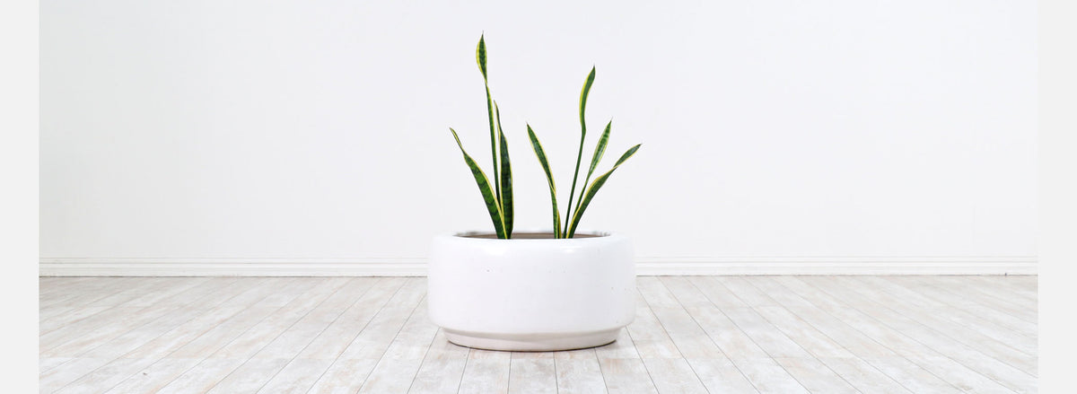 Vintage Large John Follis "Tire" White Glaze Planter for Architectural Pottery