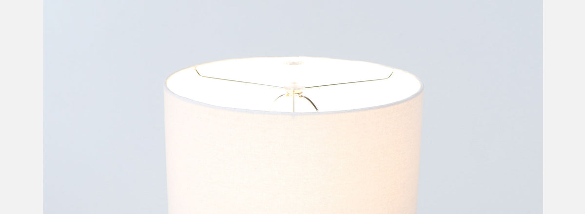 Dorothy Thorpe “Pretzel” Lucite Table Lamp