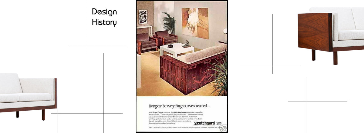 Milo Baughman Rosewood Case Sofa for Thayer Coggin