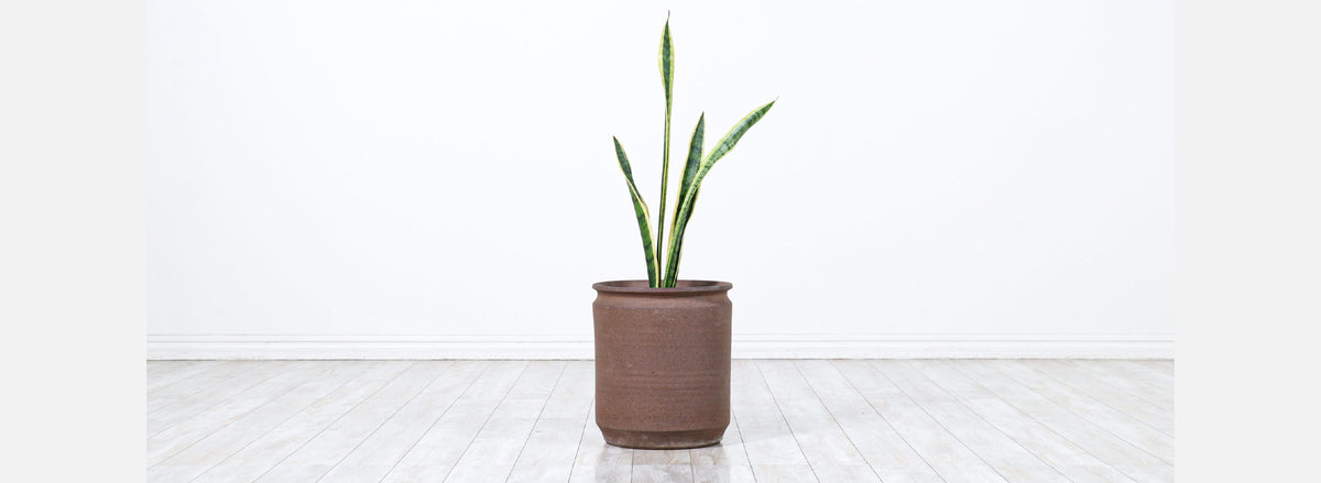 California Modern Pro Artisan Stoneware Planter by David Cressey