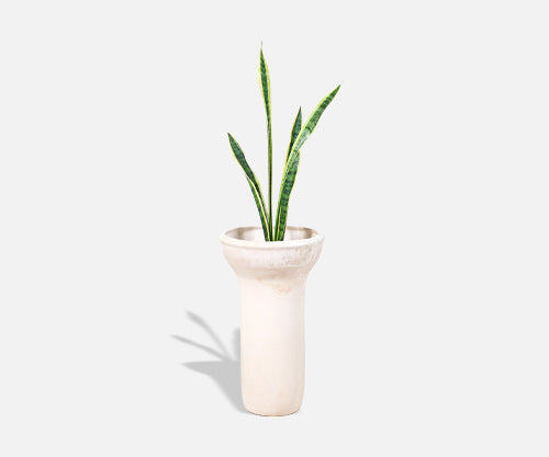 Raul Coronel Ceramic Planter for Architectural Pottery