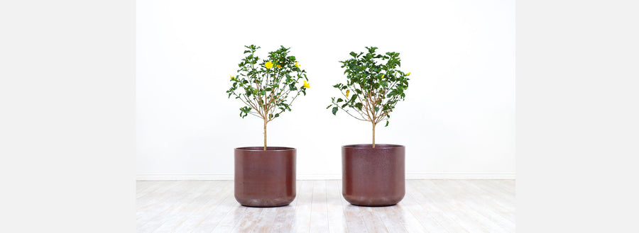 Large Malcolm Leland & David Cressey Studio Planters with Pro Artisan Stoneware & Rust Glaze