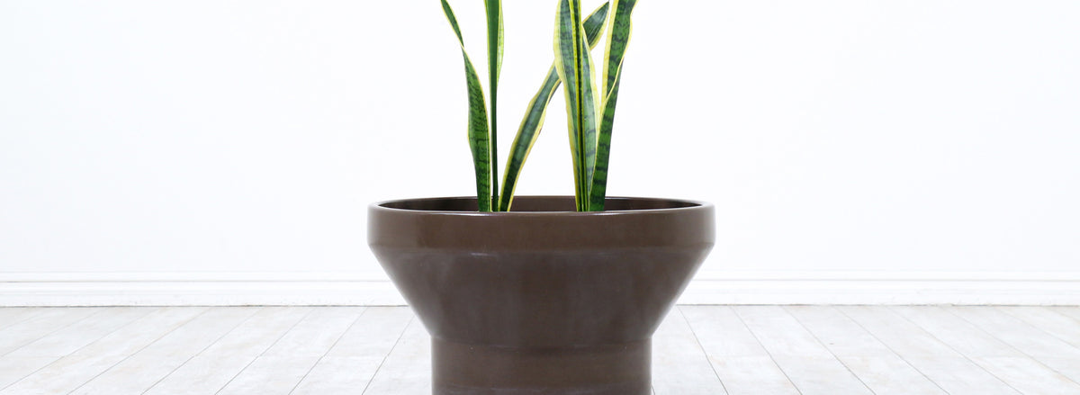 Paul McCobb M-3 Brown Ceramic Glaze for Architectural Pottery