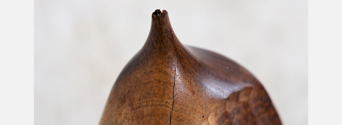 California Modern Red Acacia Weed Pot Vase by Doug Ayers