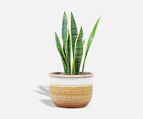 Bob Kinzie Stoneware Pottery Planter Vase for Affiliated Craftsmen