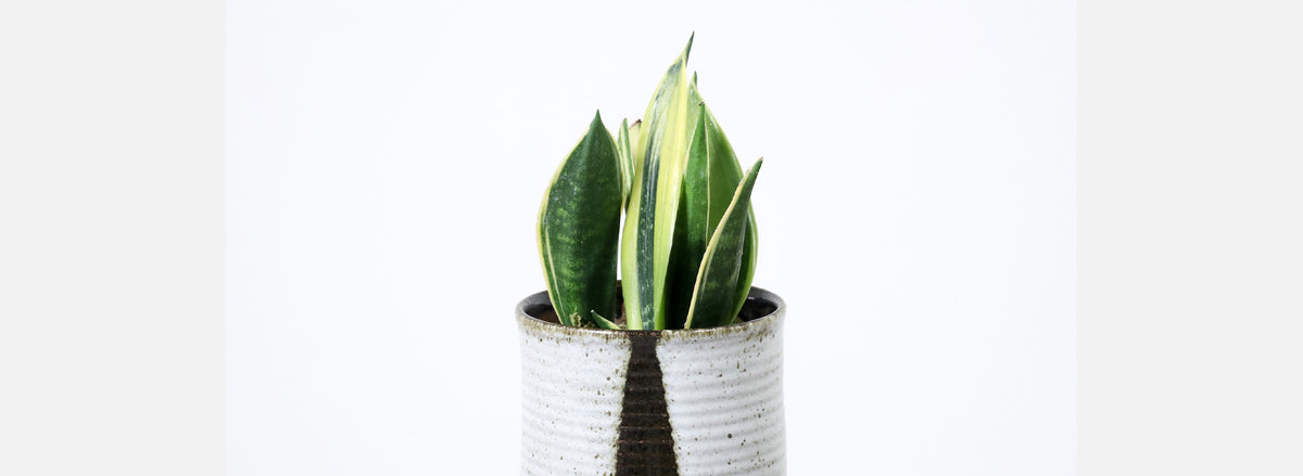 David Cressey & Robert Maxwell Pro Artisan Glaze Vase