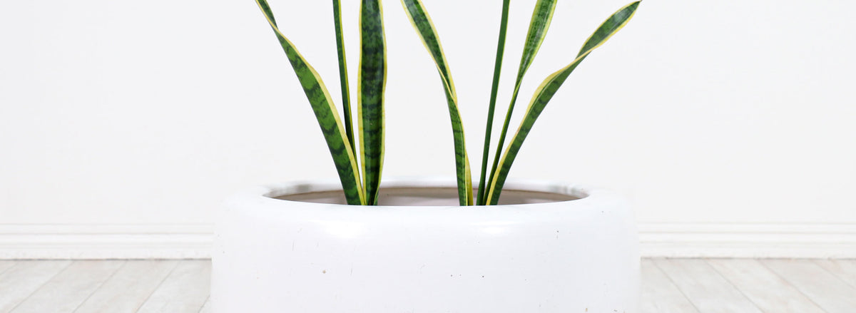 Vintage Large John Follis "Tire" White Glaze Planter for Architectural Pottery