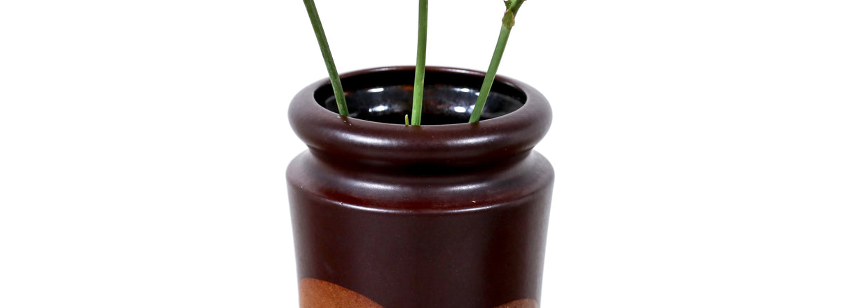 Mid-Century Modern West German Vase by Raymor