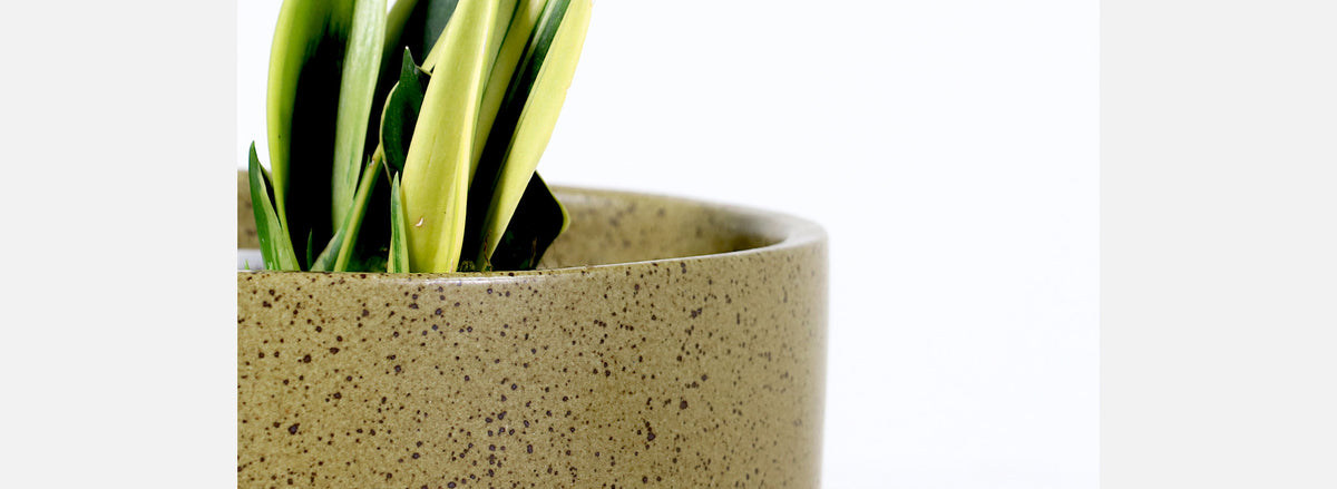 California Modern Pro Artisan Olive Green Stoneware Planter by David Cressey