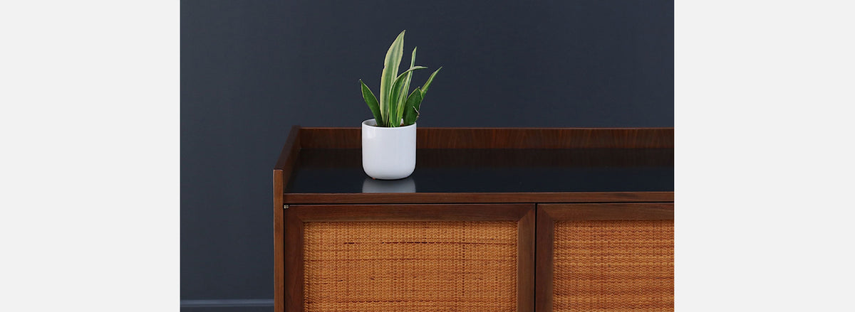 Jack Cartwright Cabinet w/ Cane Doors for Founders