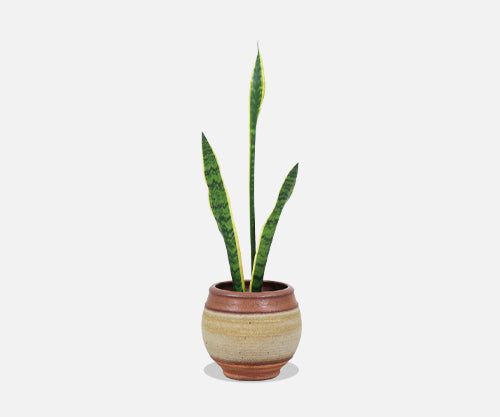 Bob Kinzie Stoneware Pottery Vase Planter for Affiliated Craftsmen
