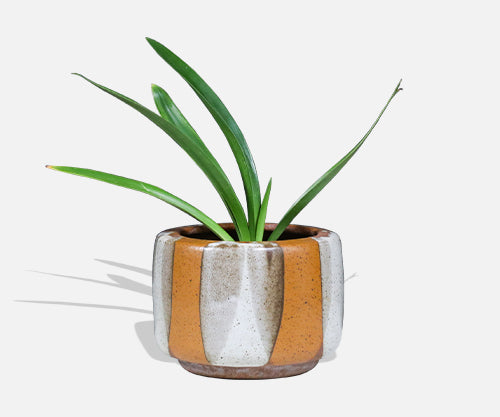 Californian Pro Artisan "Flame Glaze" Tire Planter by David Cressey & John Follis